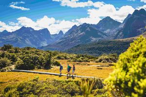 Fiordland’s Classic Walks: Milford, Routeburn, Kepler & Hollyford - 6 Days